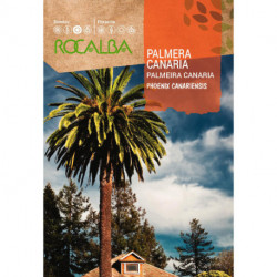 PALMERA CANARIA