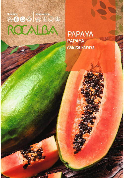 PAPAYA