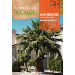 WASHINGTONIA