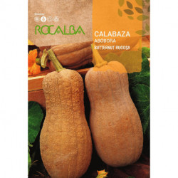 CALABAZA BUTTERNUT RUGOSA