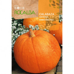 CALABAZA CONNECTICUT FIELD