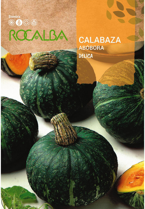 CALABAZA DELICA