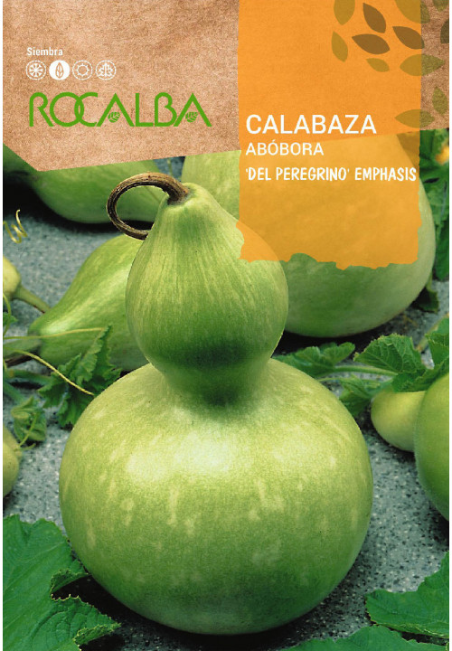 CALABAZA EMPHASIS DEL PEREGRINO