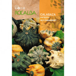 CALABAZA DIECI COMANDAMENTI