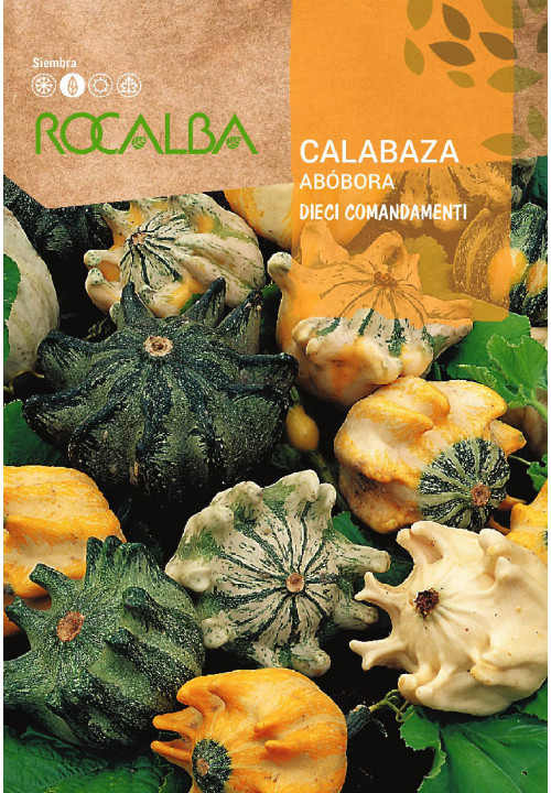 CALABAZA DIECI COMANDAMENTI