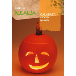 CALABAZA HALLOWEEN