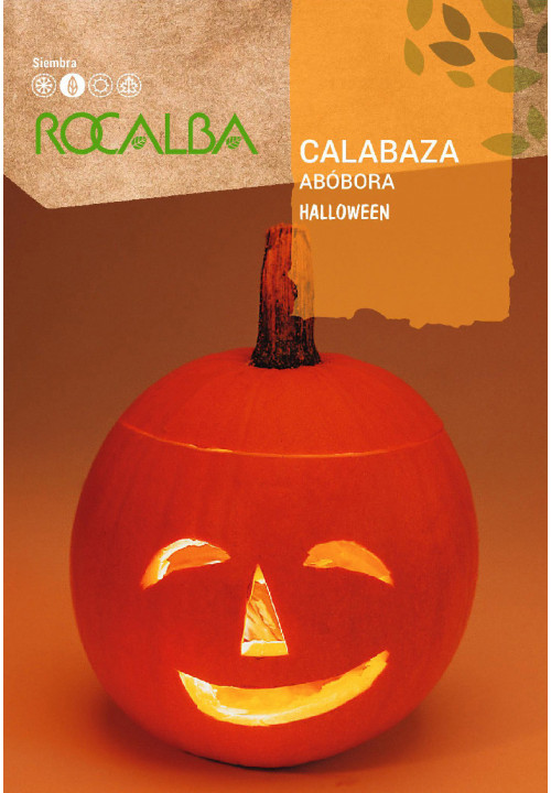 CALABAZA HALLOWEEN