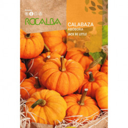 CALABAZA JACK BE LITTLE