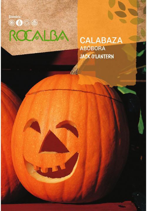 CALABAZA JACK O'LANTERN