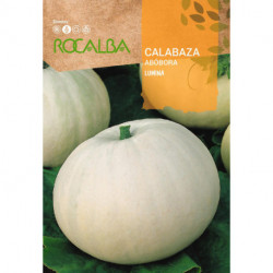 CALABAZA LUMINA