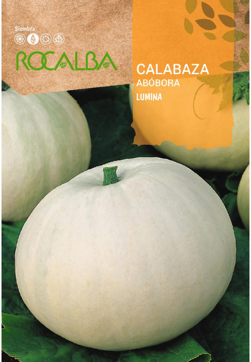 CALABAZA LUMINA