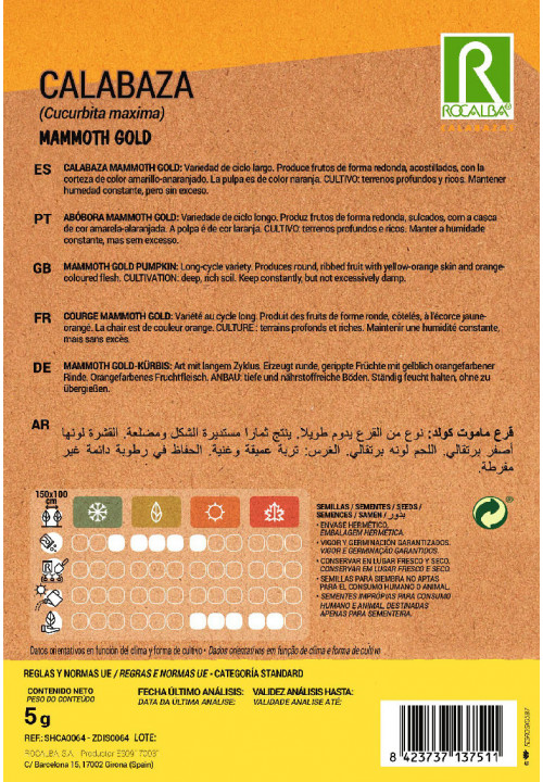CALABAZA MAMMOTH GOLD