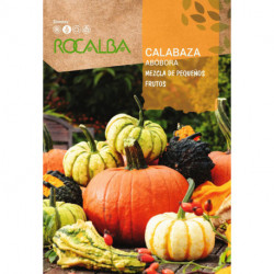 CALABAZA MEZCLA DE PEQUEÑOS FRUTOS