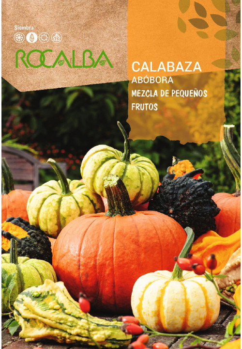 CALABAZA MEZCLA DE PEQUEÑOS FRUTOS