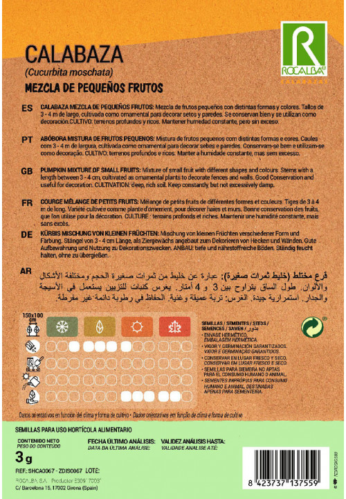 COURGE MEZCLA DE PEQUEÑOS FRUTOS