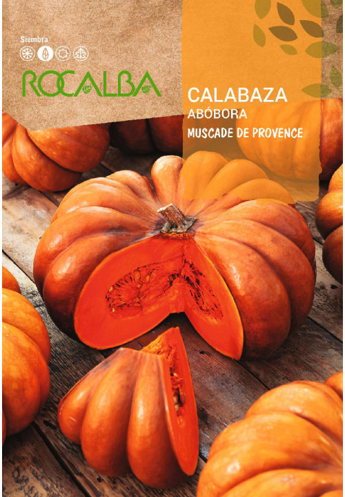 CALABAZA MUSCADE DE PROVENCE