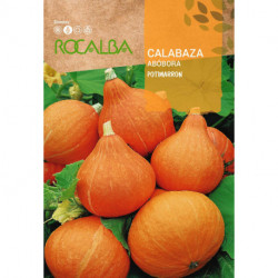 CALABAZA POTIMARRON