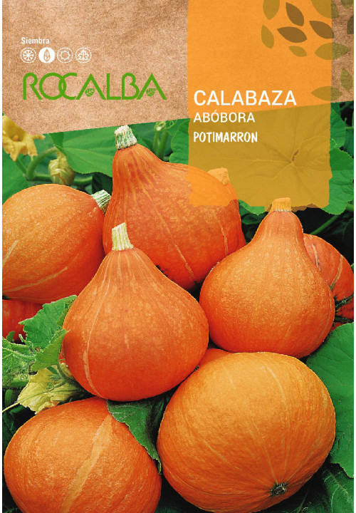 CALABAZA POTIMARRON