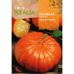 CALABAZA ROUGE VIF D’ETAMPES