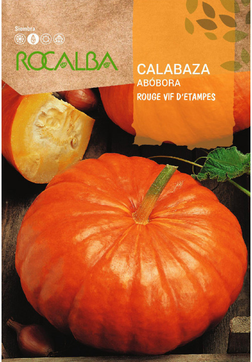 CALABAZA ROUGE VIF D’ETAMPES