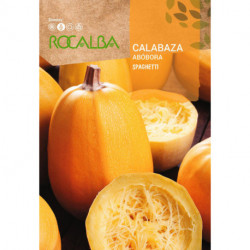 CALABAZA SPAGHETTI