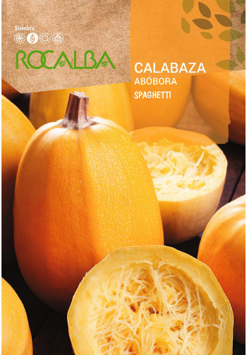 CALABAZA SPAGHETTI