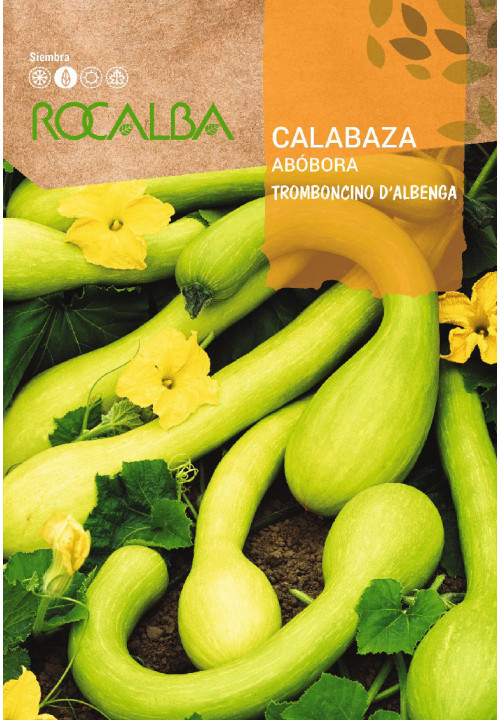 COURGE TROMBONCINO D’ALBENGA