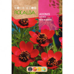 ADONIS GOUTTE DE SANG ROUGE