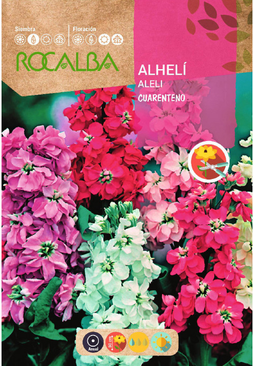 ALELI QUARENTENO ANUAL DUPLO VARIADO