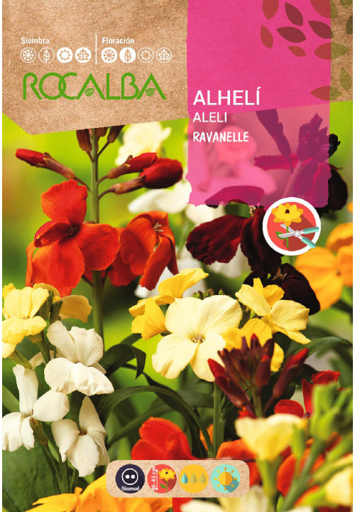 ALHELÍ RAVANELLE VARIADO