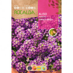 ALISO COMPACTO VIOLETA