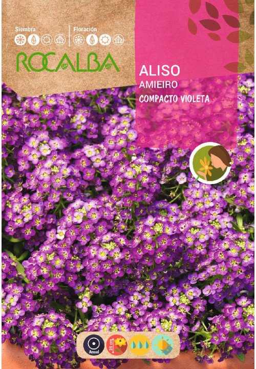 ALYSSE COMPACT VIOLET