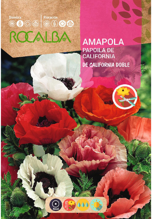 AMAPOLA DE CALIFORNIA DOBLE VARIADA