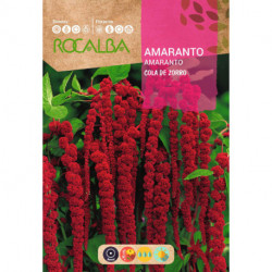 FOXTAIL AMARANTH