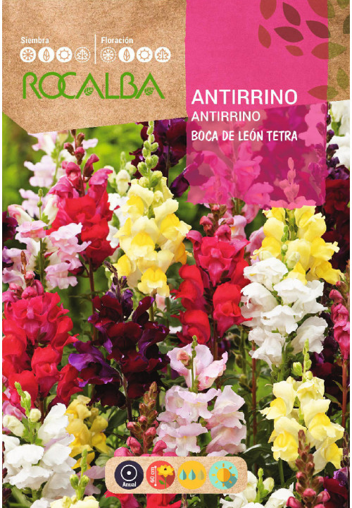 ANTIRRINO BOCA DE LEÓN TETRA VARIADO