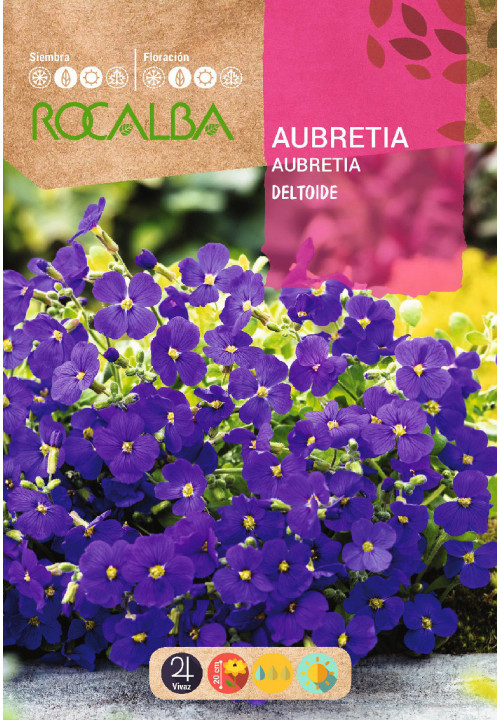 AUBRETIA DELTOIDE PÚRPURA VIOLETA