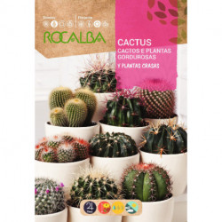 CACTOS E PLANTAS GORDUROSAS VARIADAS