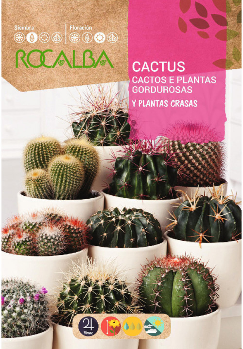 CACTOS E PLANTAS GORDUROSAS VARIADAS