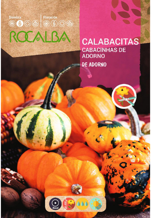 CALABACITAS DE ADORNO, VARIADAS