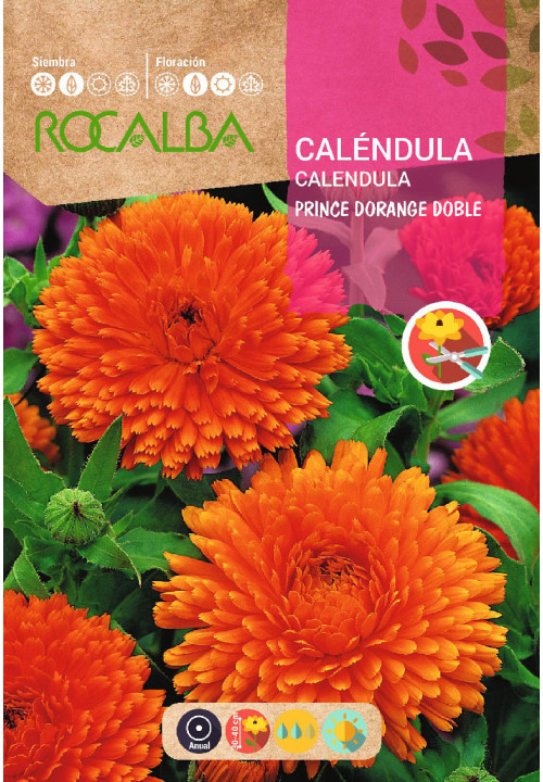 CALÉNDULA PRINCE D’ORANGE DOBLE