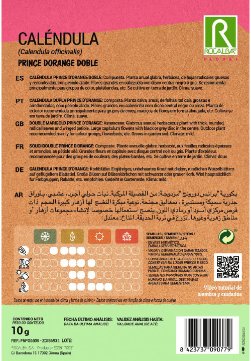 SOUCI DOUBLE PRINCE D’ORANGE