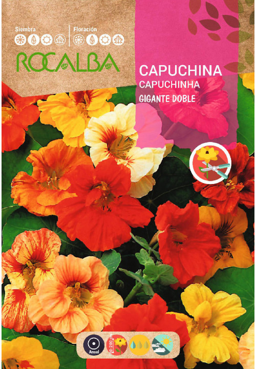 CAPUCHINA GIGANTE DOBLE VARIADA