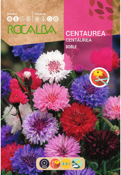 DOUBLE CENTAUREA MIXED