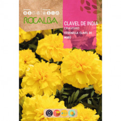 CLAVEL DE INDIA CITRONELLA DOBLE ENANO