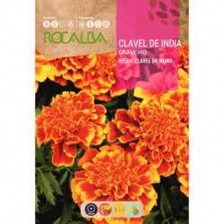 CLAVEL DE INDIA HELEN DOBLE ENANO