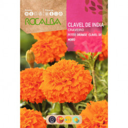 OEILLET DES INDES DOUBLE PETITE ORANGE