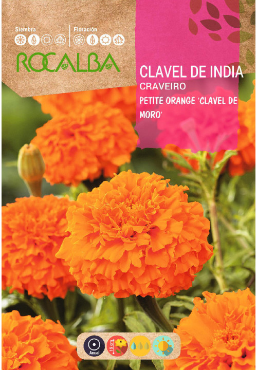 CLAVEL DE INDIA PETITE ORANGE DOBLE