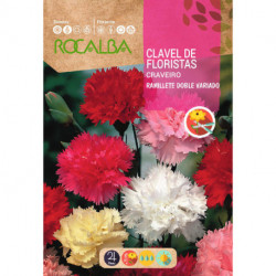 CLAVEL DE LOS FLORISTAS RAMILLETE DOBLE VARIADO