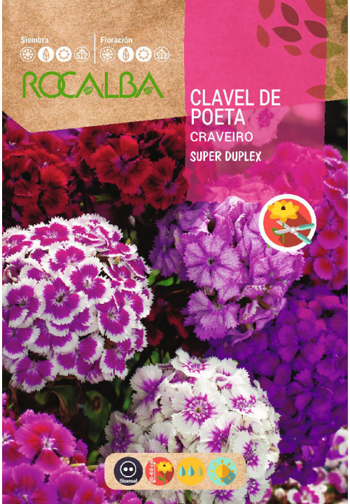 CLAVEL DEL POETA SUPER DUPLEX VARIADO