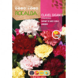 CLAVEL GIGANTE ENFANT DE NICE DOBLE VARIADO